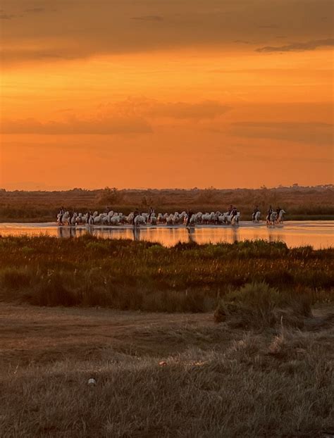 astonishing hermes|Hermès fetes year of Astonishment in the Camargue.